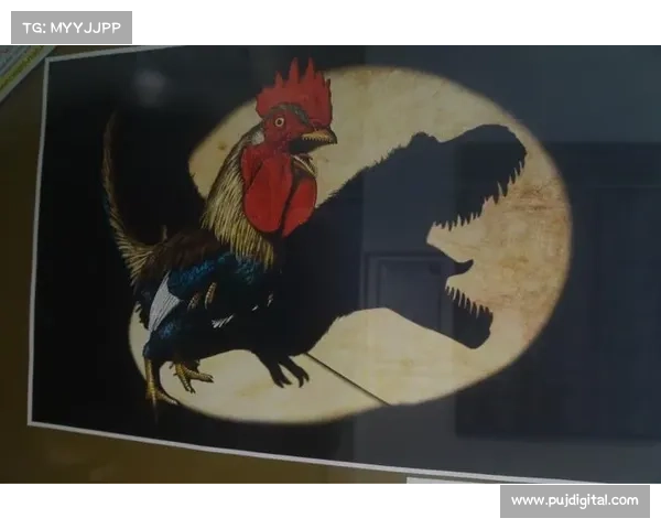 北美洲主要杯赛概览及其历史发展与影响力分析